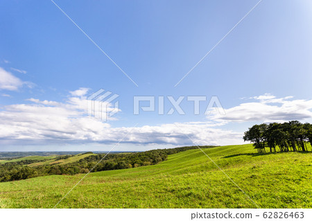 900 meadows in Teshikaga town in eastern Hokkaido, Japan 900 meadows in Teshikaga town in eastern Hokkaido, Japan 62826463