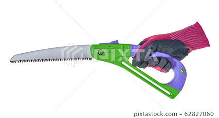 garden tool saw in hand 62827060
