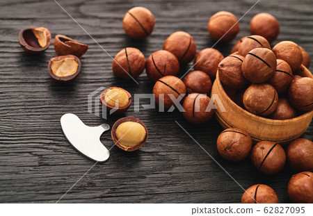 Macadam nut close-up 62827095