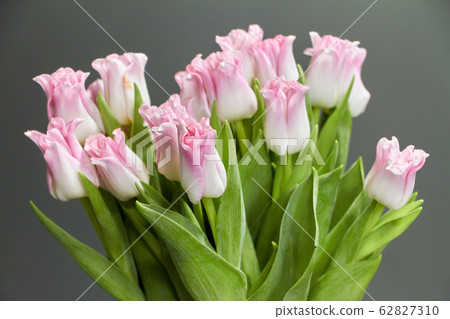 Glass vase with pink tulips on a dark wooden 62827310