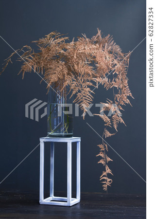 Branch asparagus fern or asparagus setaceus 62827334