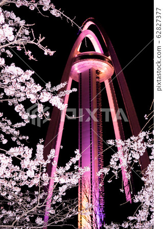 夜櫻樹和138塔 夜櫻樹和138塔 62827377