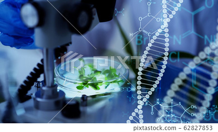 Genetic engineering Biotechnology Genetic engineering Biotechnology 62827853
