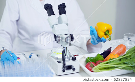 食品與科學 食品與科學 62827854