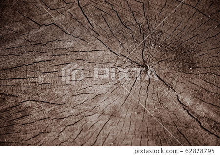 Blurred defocused wood texture saw cut old wood or 62828795