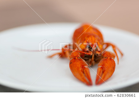 boiled cancer lies on a plate 62830661