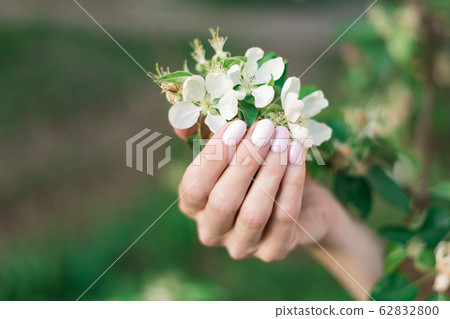 Gentle pink spring manicure on short nails, pastel Gentle pink spring manicure on short nails, pastel 62832800