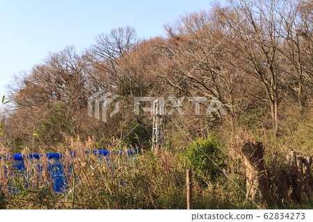 Maioka (Spring) Maioka (Spring) 62834273