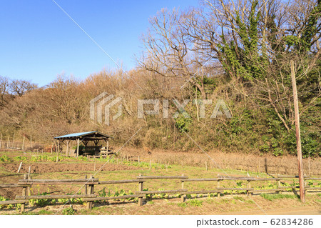 Maioka (Spring) Maioka (Spring) 62834286