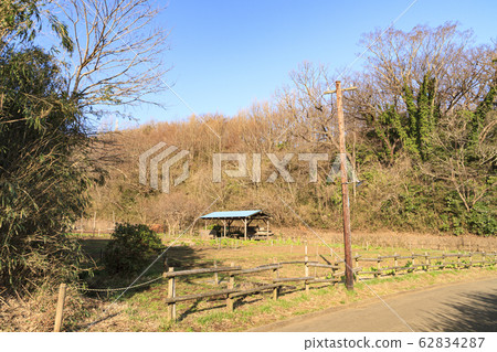 Maioka (Spring) Maioka (Spring) 62834287