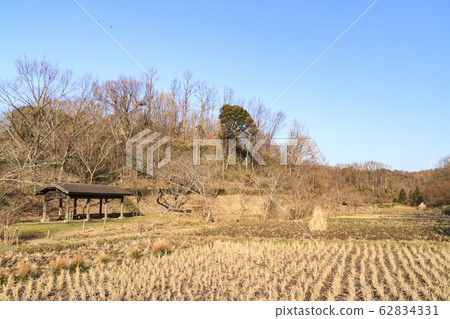 舞岡（春季） 62834331