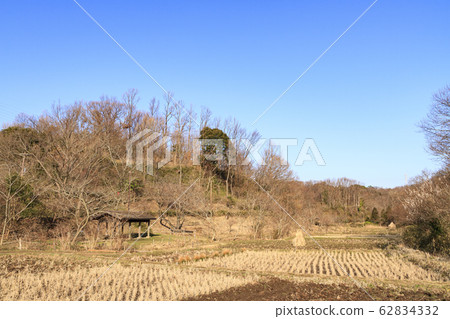 舞岡(春季) 舞岡(春季) 62834332