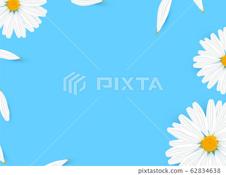 Template banner with realistic chamomile Template banner with realistic chamomile 62834638