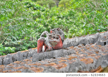 [Shisa] 62834663