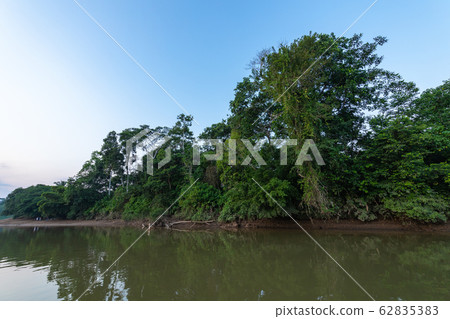 Amazing scenic view Tropical forest with jungle 62835383