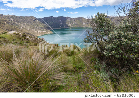 Lake Quilotoa. Panorama of the turquoise volcano crater lagoon of Quilotoa 62836005