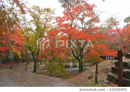 Sogaki Waterfall Park Sogaki Waterfall Park 62836945