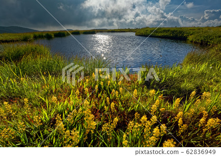 平岳姬之池和金口卡 62836949