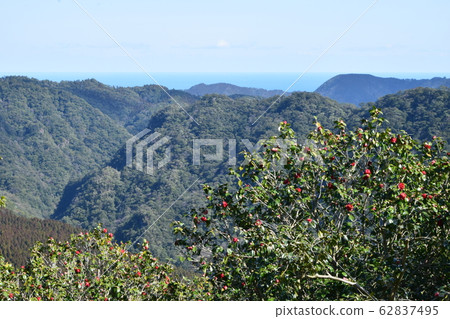 Chinzan Forest Park Chinzan Forest Park 62837495