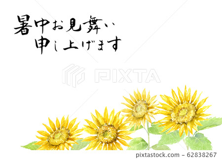 夏天明信片模板向日葵水彩插圖 62838267