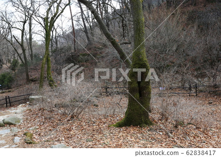 Bukhansan, national park, trail 62838417