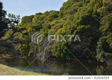 [Osaka Prefecture Sakai City] World Heritage Mozu Bird Burial Mounds 62838505