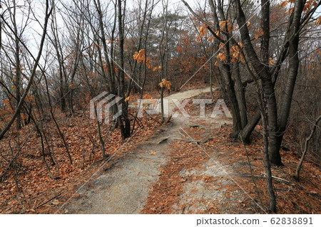 北漢山, 國家公園, 步道 62838891