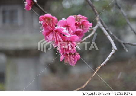 雪域北野天滿宮 62839172