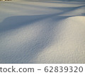 snow          62839320
