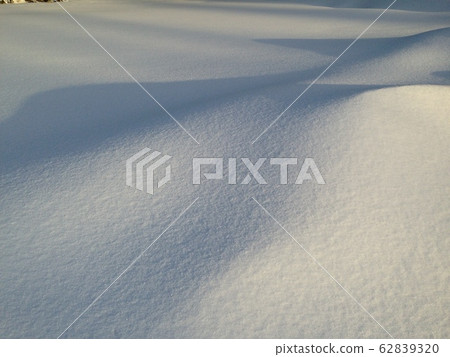 snow          62839320