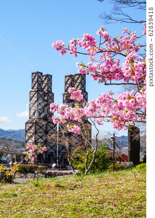 Kawazu Sakura和Nirayama反射爐 62839418