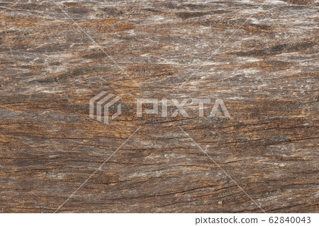 Wood Surface, Bark of antique old Tree with copy Wood Surface, Bark of antique old Tree with copy 62840043
