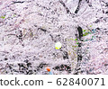櫻花公園 櫻花公園 62840071