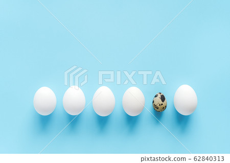 One quail egg among a row of white eggs on blue 62840313