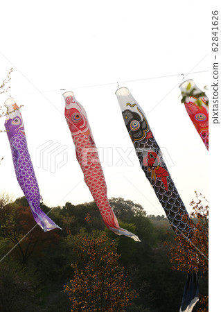 Carp streamer Carp streamer 62841626