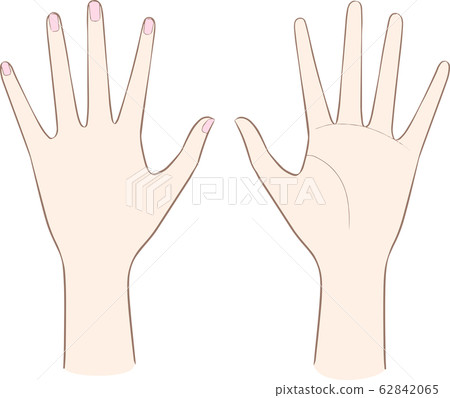 Palm of the hand Palm of the hand 62842065