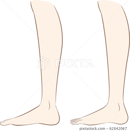 Leg foot body part side - Stock Illustration [62842067] - PIXTA