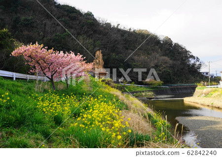 February Kyonan 42 62842240