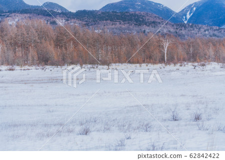 Senjogahara winter scene 62842422