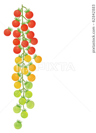 小番茄鈴鐺鈴垂直線 62842883