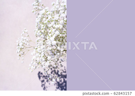 Beautiful bouquet of white flowers with shadows on pastel gray violet color background. Beautiful bouquet of white flowers with shadows on pastel gray violet color background. 62843157