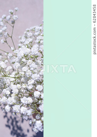 Beautiful bouquet of white flowers with shadows on pastel pink green mint background. Beautiful bouquet of white flowers with shadows on pastel pink green mint background. 62843458