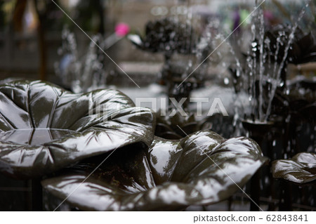 香港澳門香港澳門黃大仙 香港澳門香港澳門黃大仙 62843841