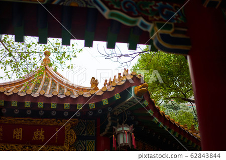 Hong Kong Macau Hong Kong Macau Yellow Daisen Hong Kong Macau Hong Kong Macau Yellow Daisen 62843844