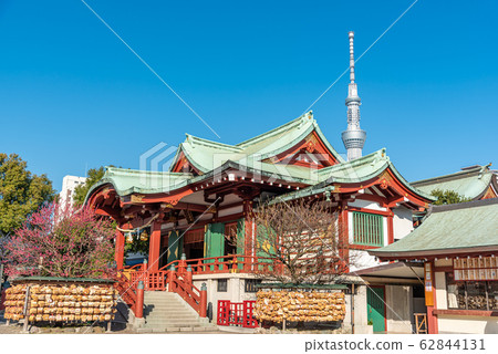龜戶天神神社 62844131