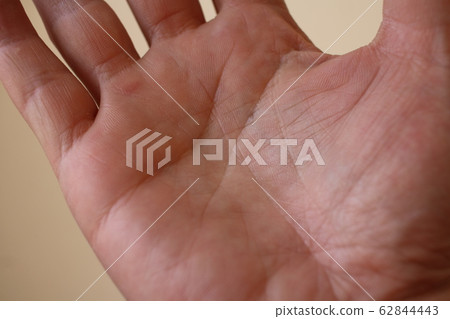 Palm 09 Palm 09 62844443