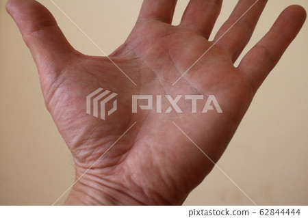 Palm 10 Palm 10 62844444
