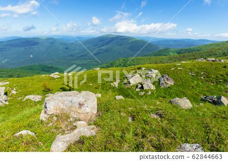 rocks on the alpine meadow 62844663