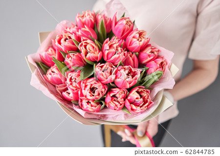 Crimson color tulips in woman hand. Spring bouquet of red tulips in hands. Bunch of fresh cut spring flowers 62844785