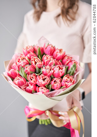 Crimson color tulips in woman hand. Spring bouquet of red tulips in hands. Bunch of fresh cut spring flowers Crimson color tulips in woman hand. Spring bouquet of red tulips in hands. Bunch of fresh cut spring flowers 62844788